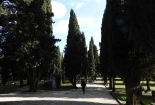 DSCN8543