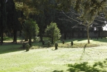 DSCN8544