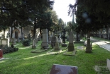 DSCN8554