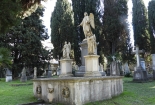 DSCN8560