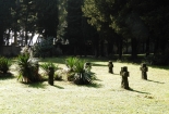 DSCN8571