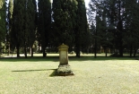 DSCN8573