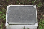 DSCN8575
