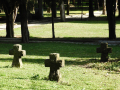 DSCN8577