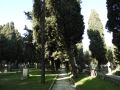 DSCN8585