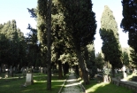 DSCN8585