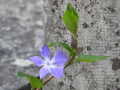 DSCN8586