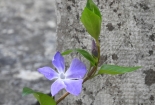 DSCN8586