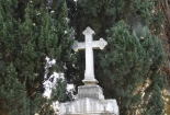 DSCN8593