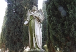 DSCN8595
