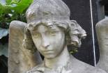 DSCN8601