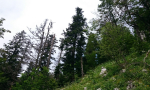 001-7-Kopiraj