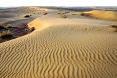 Karakum