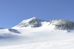 Vinson