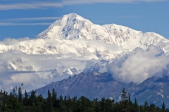 McKinley