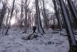 Orljak 2