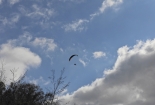 DSCN2509 (Kopiraj)