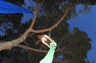 ples-svila-0001 (9)