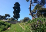 riva-punta-christo-0001a (64)