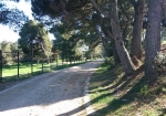 riva-punta-christo-0001a (65)