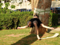 DSCN5936A