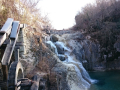 KOTLI