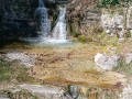 TREBIŠĆA