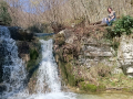 TREBIŠĆA