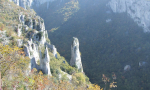 vela-draga-vranjska-draga-0001-1