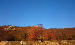 vela-draga-vranjska-draga-0001-22