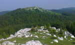 planik-veliki-mali-0001-31-Kopiraj