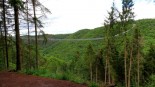 IMG_2463ab
