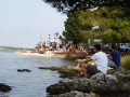 DSCN4469 (Kopiraj)