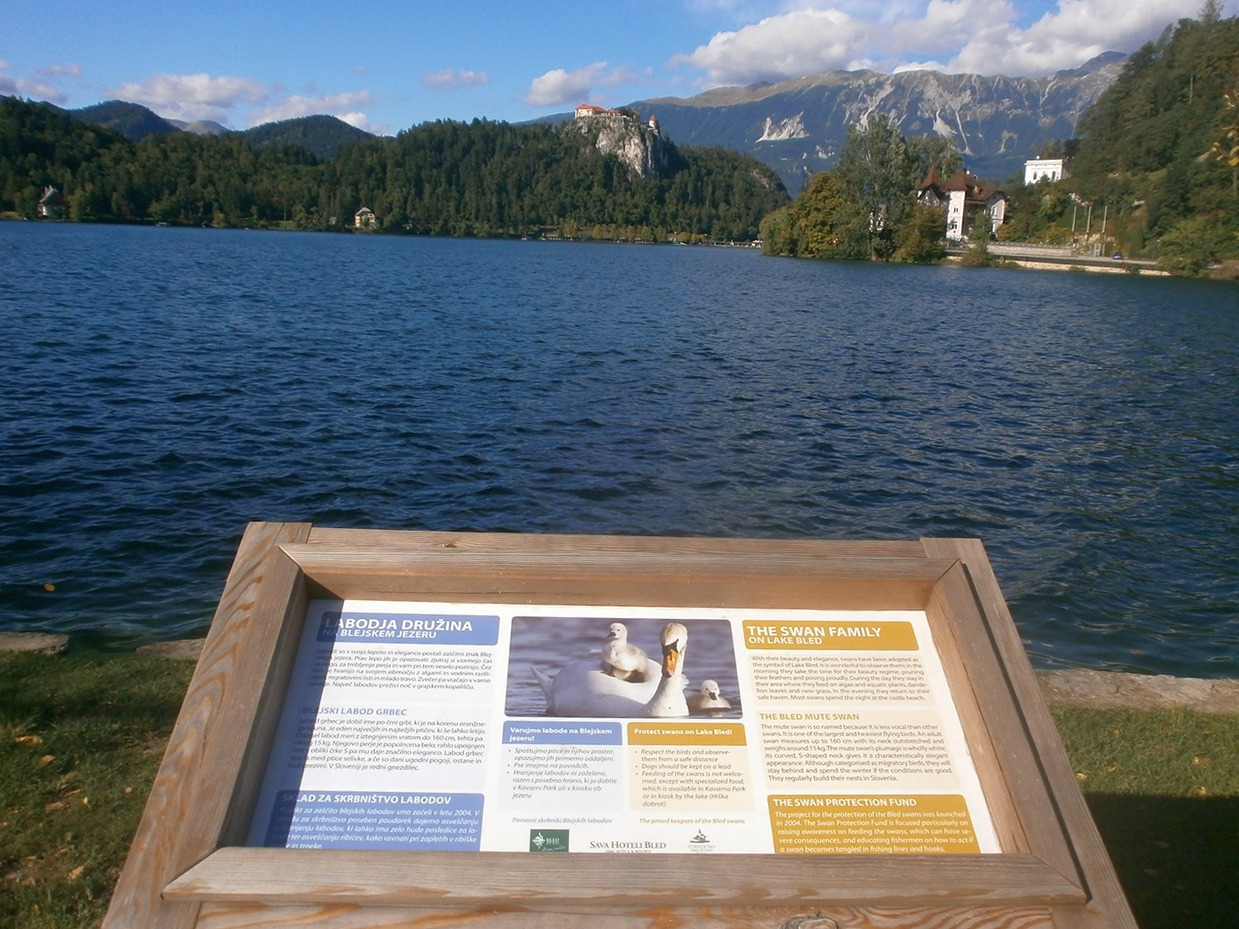 Bled