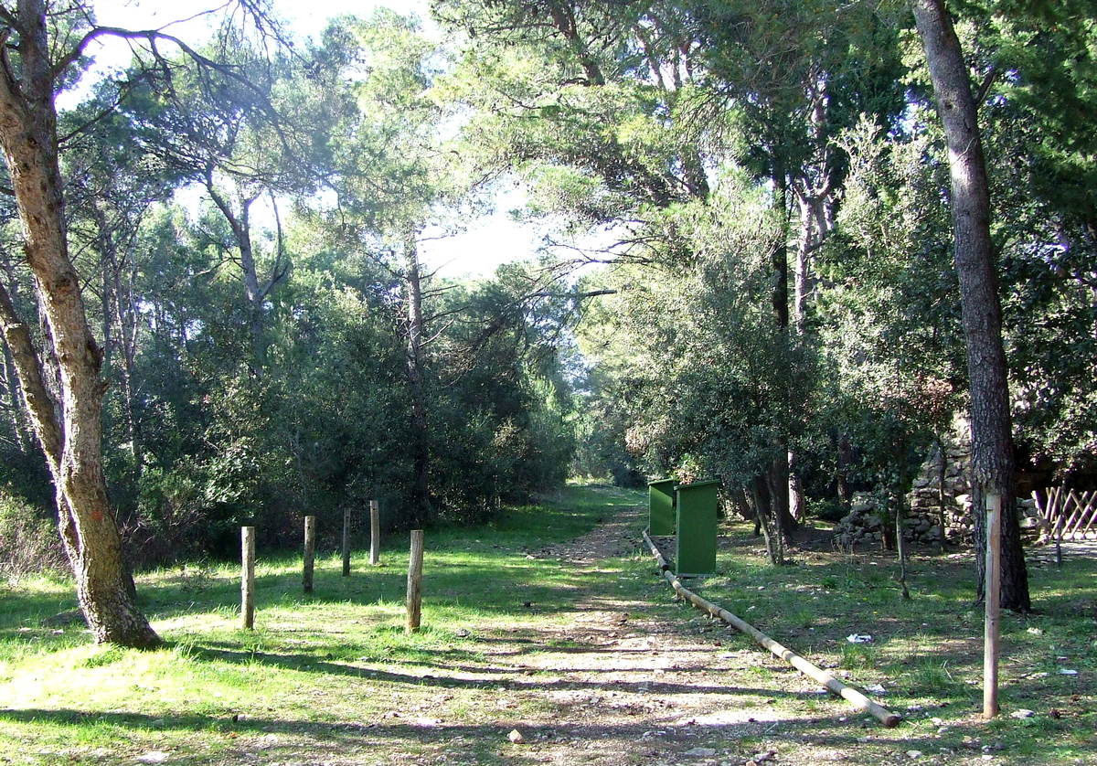 Gornji Kamenjak