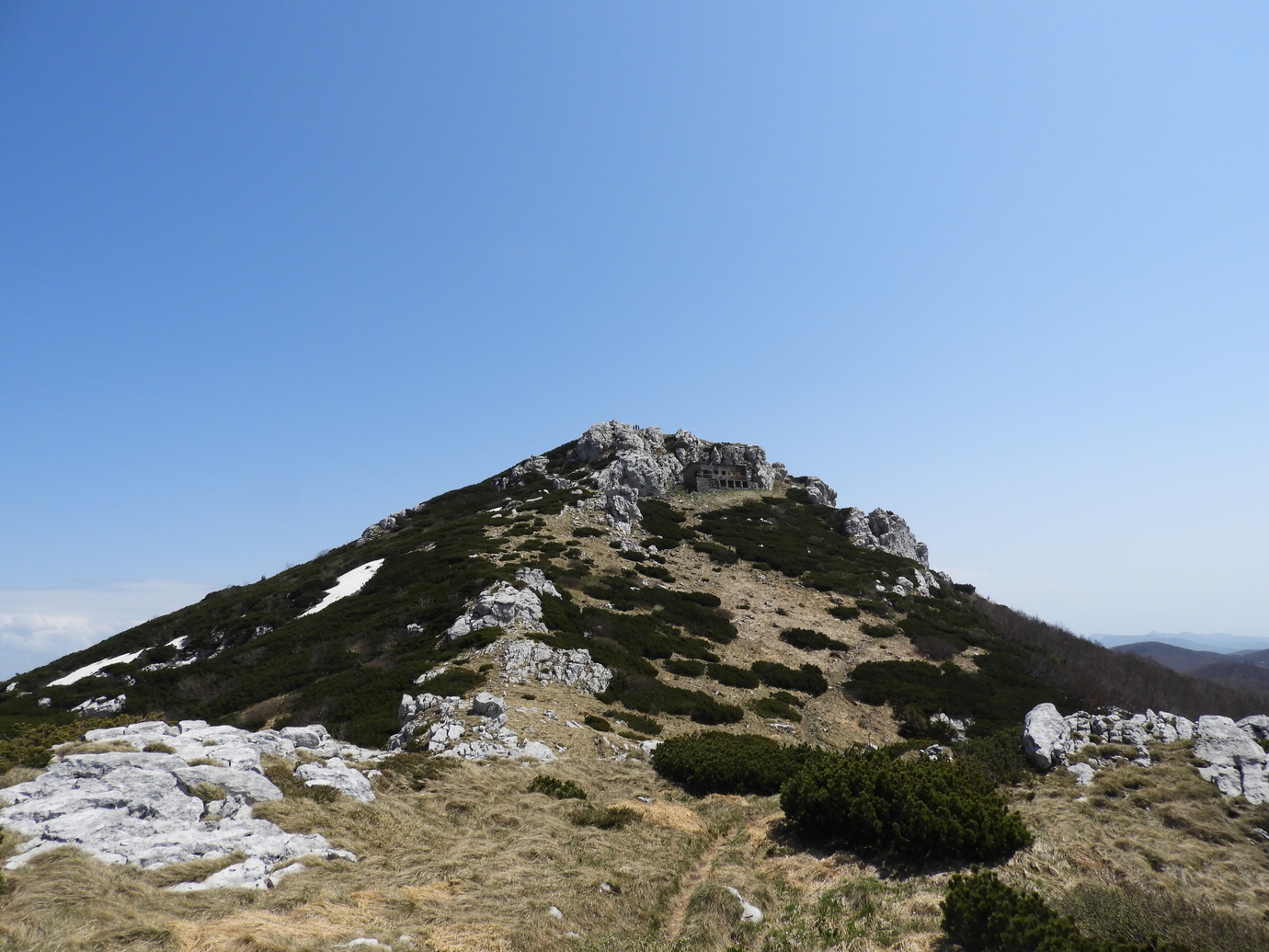 Snježnik