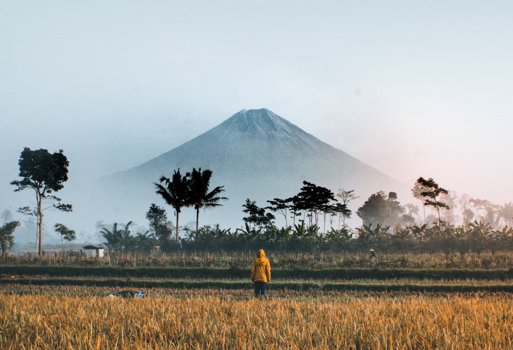 Indonezija